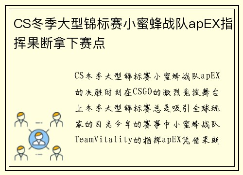CS冬季大型锦标赛小蜜蜂战队apEX指挥果断拿下赛点