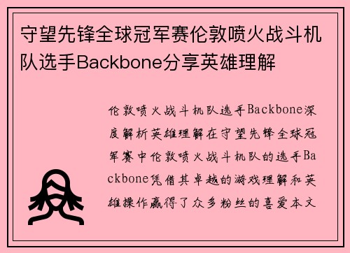 守望先锋全球冠军赛伦敦喷火战斗机队选手Backbone分享英雄理解