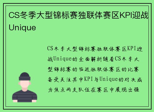 CS冬季大型锦标赛独联体赛区KPI迎战Unique