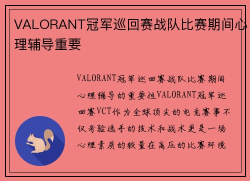 VALORANT冠军巡回赛战队比赛期间心理辅导重要